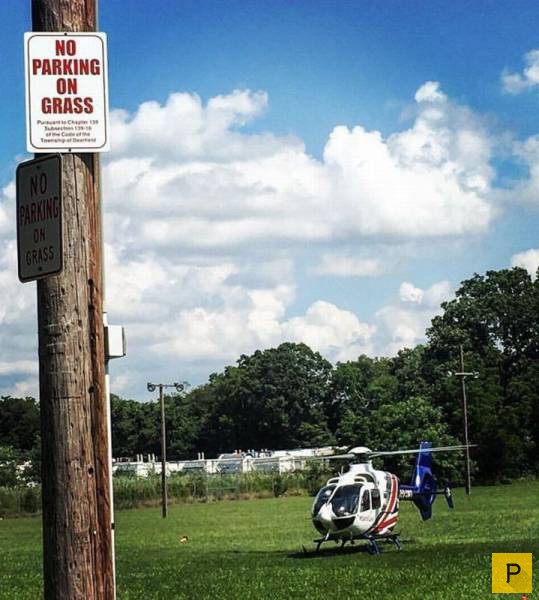 ���������� ���������� ��� �������� ����������, ����� 49 (110 ����)