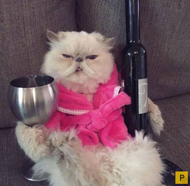 ���������� ���������� ��� �������� ����������, ����� 49 (110 ����)