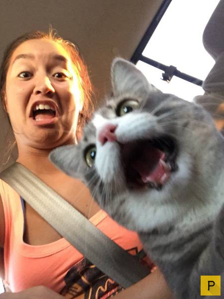 ���������� ���������� ��� �������� ����������, ����� 49 (110 ����)