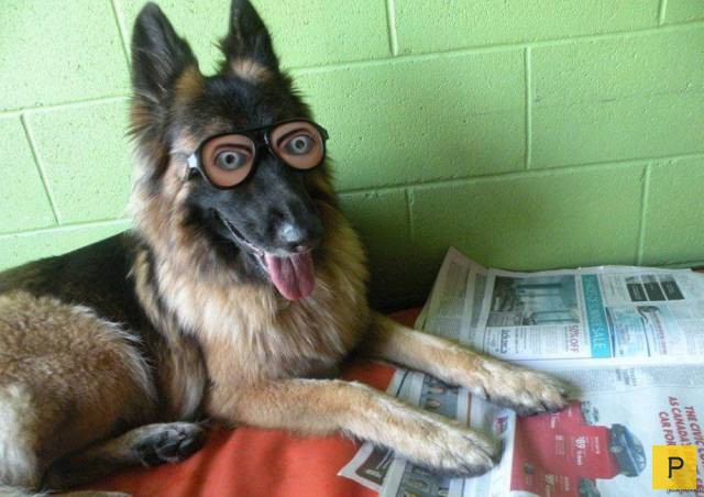 ���������� ���������� ��� �������� ����������, ����� 49 (110 ����)