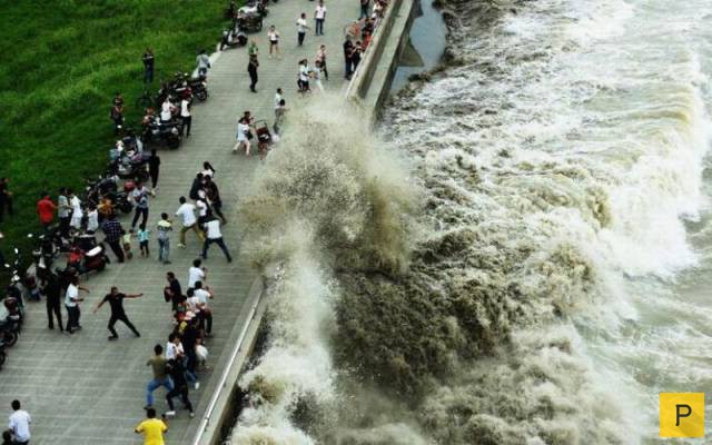 ���������� ���������� ��� �������� ����������, ����� 49 (110 ����)