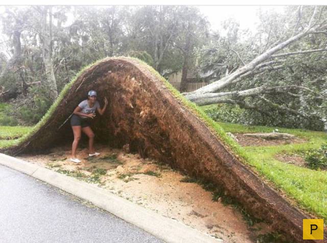 ���������� ���������� ��� �������� ����������, ����� 49 (110 ����)