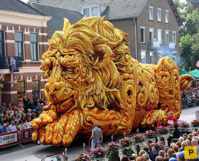 ���������� ���������� ��� �������� ����������, ����� 49 (110 ����)