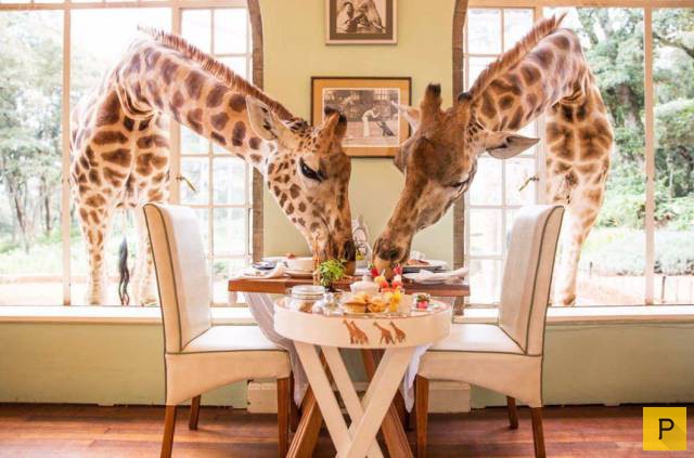 ���������� ���������� ��� �������� ����������, ����� 49 (110 ����)