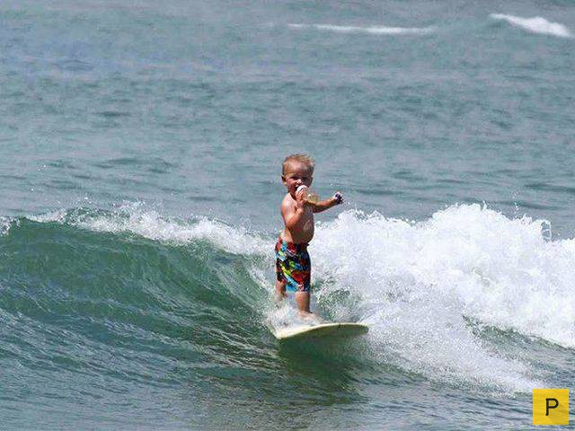 ���������� ���������� ��� �������� ����������, ����� 49 (110 ����)