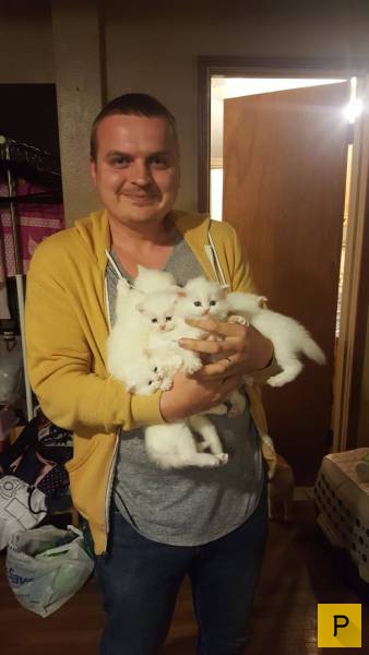 ���������� ���������� ��� �������� ����������, ����� 49 (110 ����)