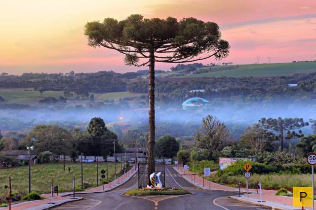 ���������� ���������� ��� �������� ����������, ����� 49 (110 ����)