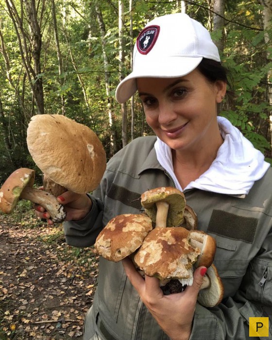 Наши знаменитости собирают грибочки (30 фото)