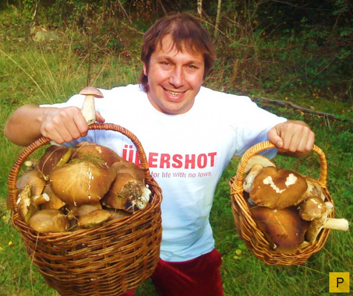 Наши знаменитости собирают грибочки (30 фото)