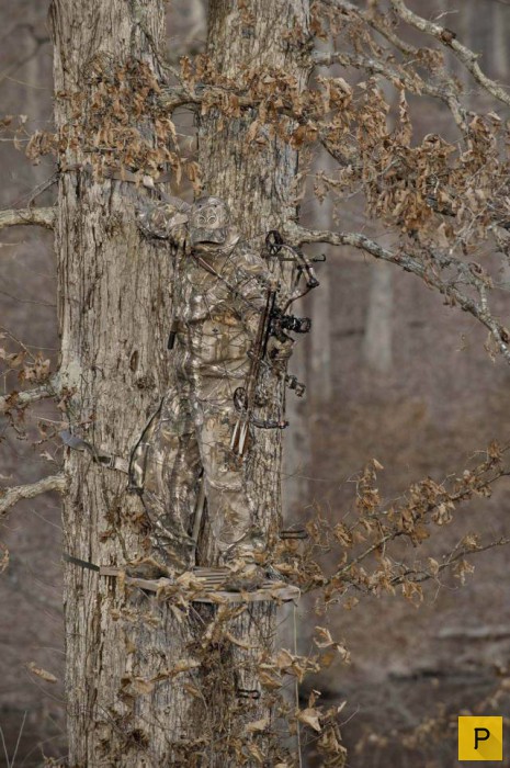 ���������� ���������� ��� �������� ����������, ����� 49 (110 ����)