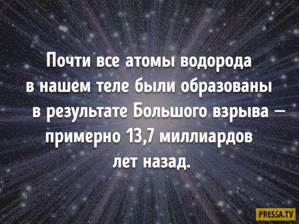 ��� 10: ������������ ����� � ��������� (10 ����)