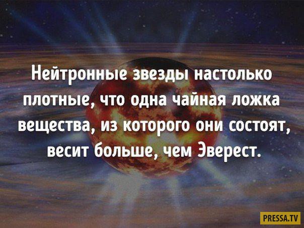 ��� 10: ������������ ����� � ��������� (10 ����)