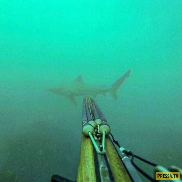 �������� ���������� �� ����� �����, ����� 8 (105 ����)