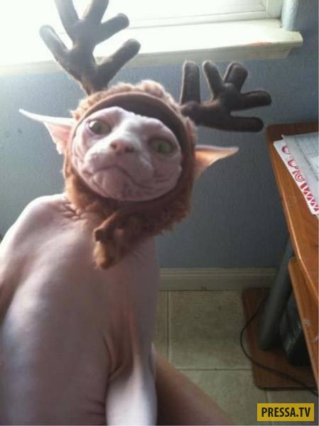 �������� ���������� �� ����� �����, ����� 8 (105 ����)