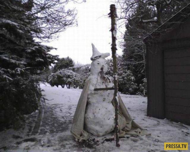 �������� ���������� �� ����� �����, ����� 8 (105 ����)