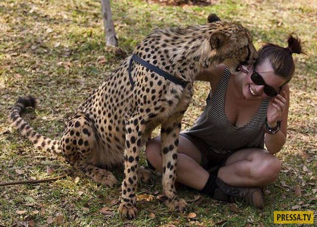 �������� ���������� �� ����� �����, ����� 8 (105 ����)