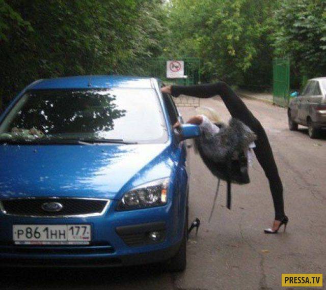 �������� ���������� �� ����� �����, ����� 8 (105 ����)