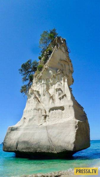 �������� ���������� �� ����� �����, ����� 8 (105 ����)