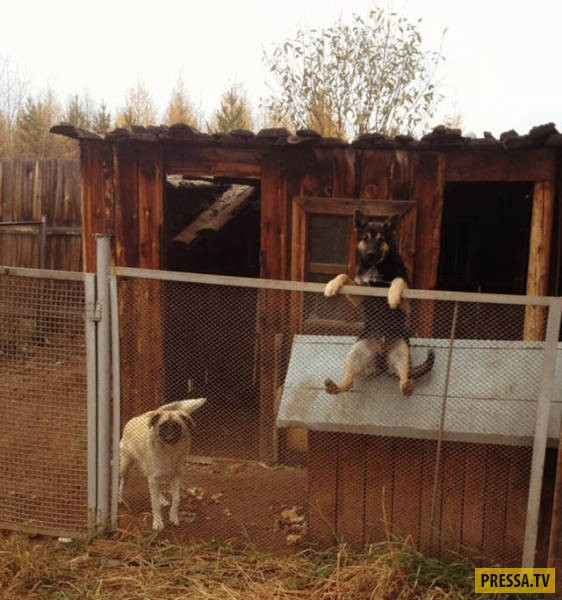 �������� ���������� �� ����� �����, ����� 8 (105 ����)