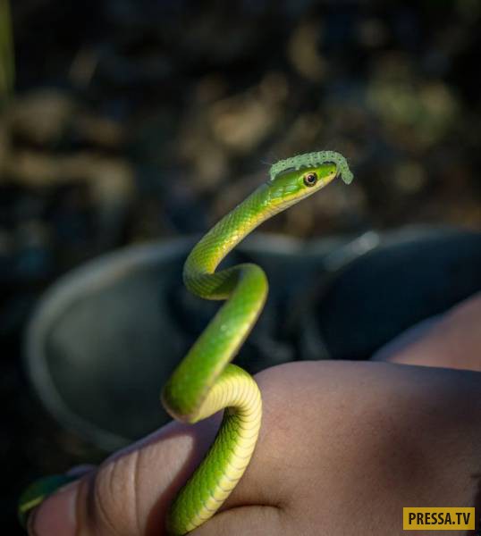 �������� ���������� �� ����� �����, ����� 8 (105 ����)