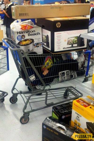 �������� ���������� �� ����� �����, ����� 8 (105 ����)