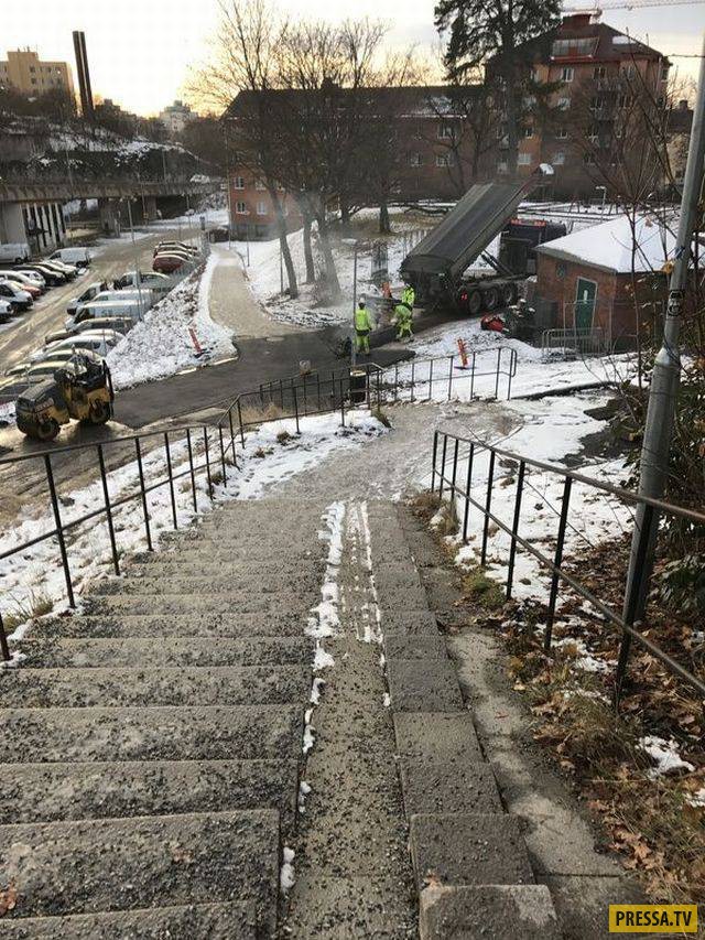 �������� ���������� �� ����� �����, ����� 8 (105 ����)