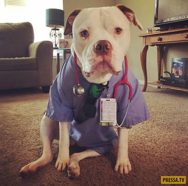 �������� ���������� �� ����� �����, ����� 8 (105 ����)