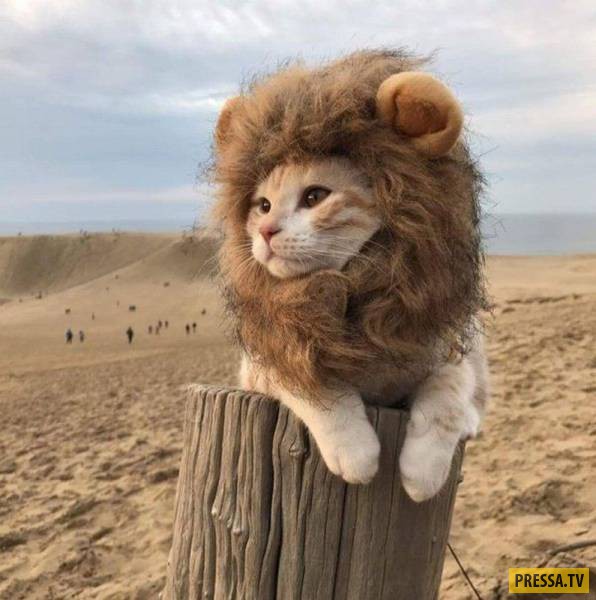 �������� ���������� �� ����� �����, ����� 8 (105 ����)