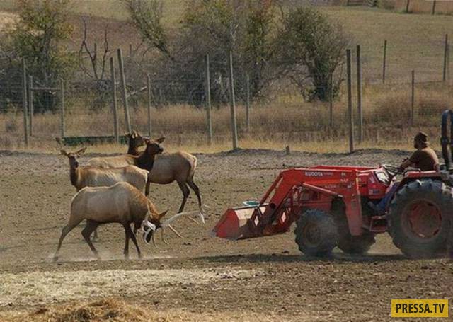 �������� ���������� �� ����� �����, ����� 8 (105 ����)