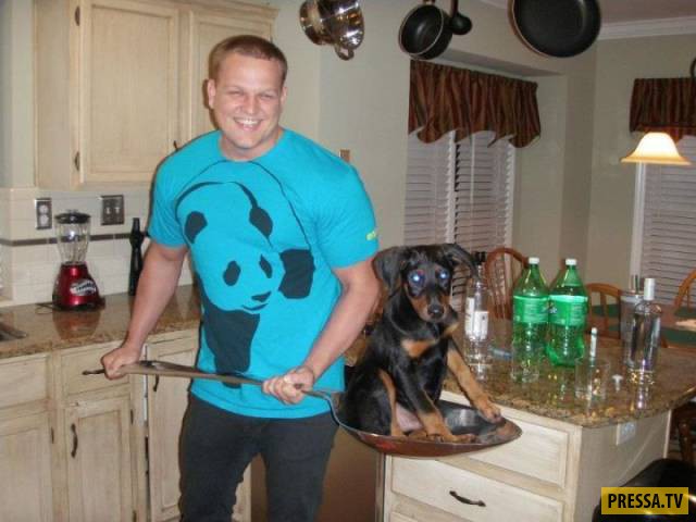 �������� ���������� �� ����� �����, ����� 8 (105 ����)