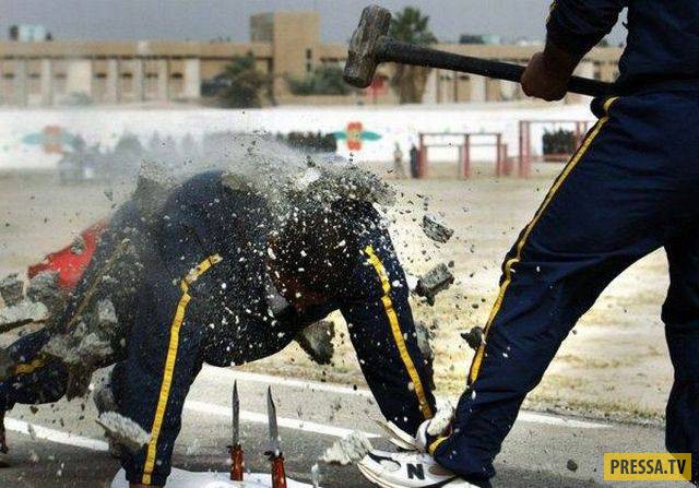 �������� ���������� �� ����� �����, ����� 8 (105 ����)