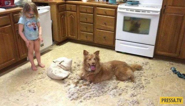 �������� ���������� �� ����� �����, ����� 8 (105 ����)