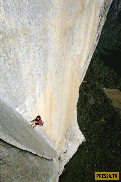 �������� ���������� �� ����� �����, ����� 8 (105 ����)