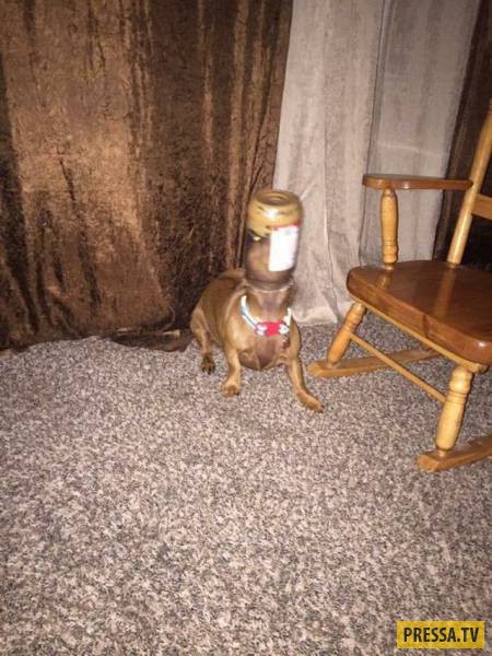 �������� ���������� �� ����� �����, ����� 8 (105 ����)