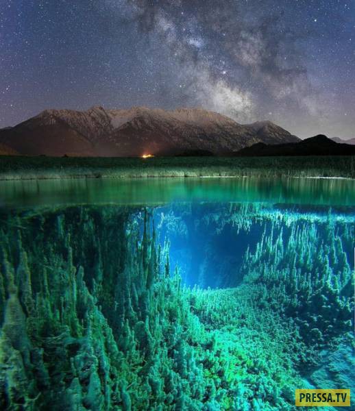 �������� ���������� �� ����� �����, ����� 8 (105 ����)