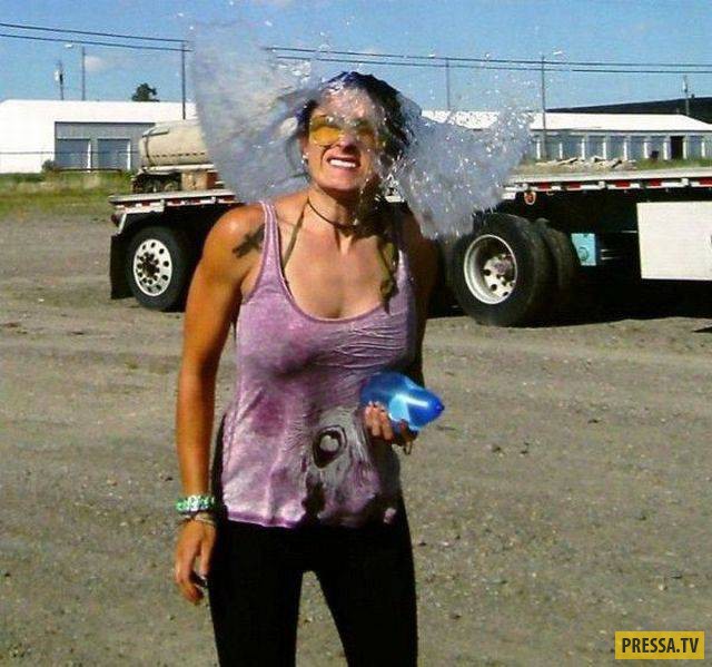 �������� ���������� �� ����� �����, ����� 8 (105 ����)