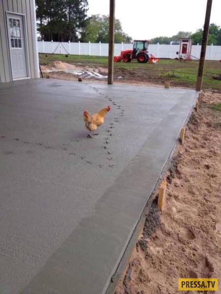 �������� ���������� �� ����� �����, ����� 8 (105 ����)