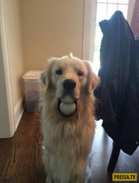 �������� ���������� �� ����� �����, ����� 8 (105 ����)