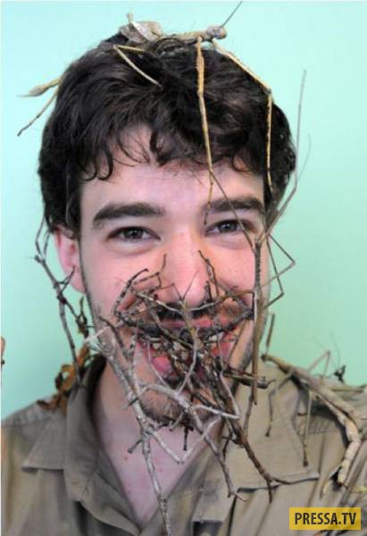 �������� ���������� �� ����� �����, ����� 8 (105 ����)