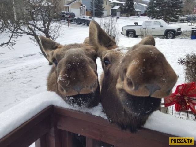 �������� ���������� �� ����� �����, ����� 8 (105 ����)