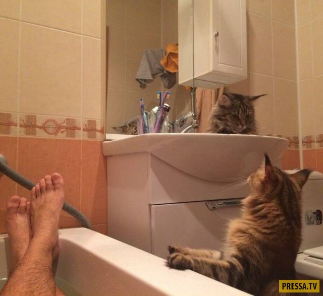 �������� ���������� �� ����� �����, ����� 8 (105 ����)