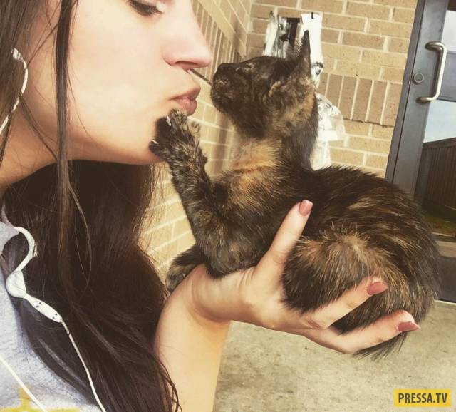 �������� ���������� �� ����� �����, ����� 8 (105 ����)