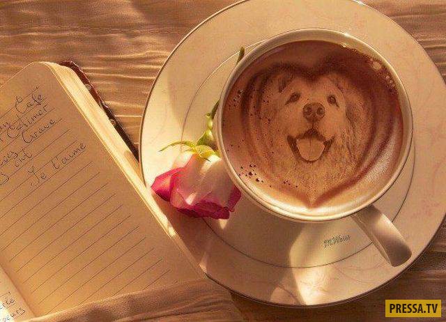 �������� ���������� �� ����� �����, ����� 8 (105 ����)