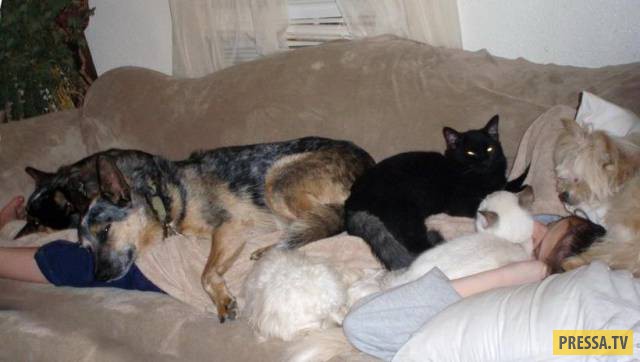 �������� ���������� �� ����� �����, ����� 8 (105 ����)