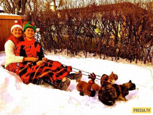 �������� ���������� �� ����� �����, ����� 8 (105 ����)