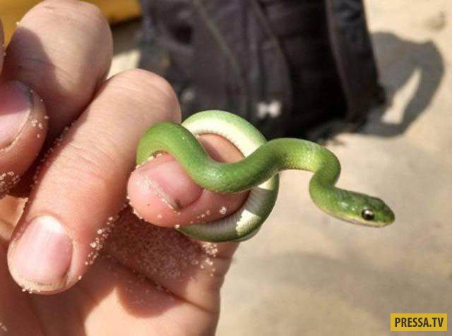 �������� ���������� �� ����� �����, ����� 8 (105 ����)