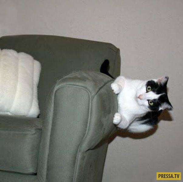 �������� ���������� �� ����� �����, ����� 8 (105 ����)