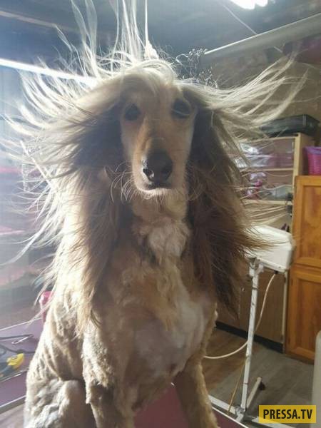 �������� ���������� �� ����� �����, ����� 8 (105 ����)