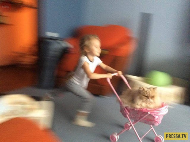 �������� ���������� �� ����� �����, ����� 8 (105 ����)