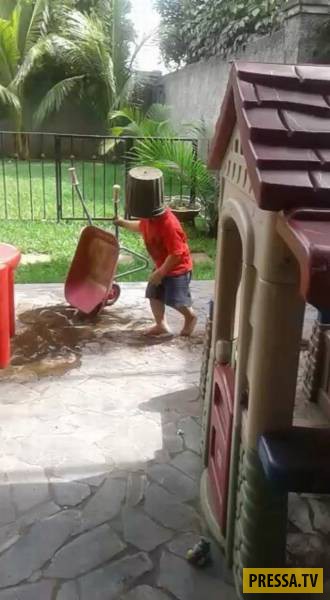 �������� ���������� �� ����� �����, ����� 8 (105 ����)